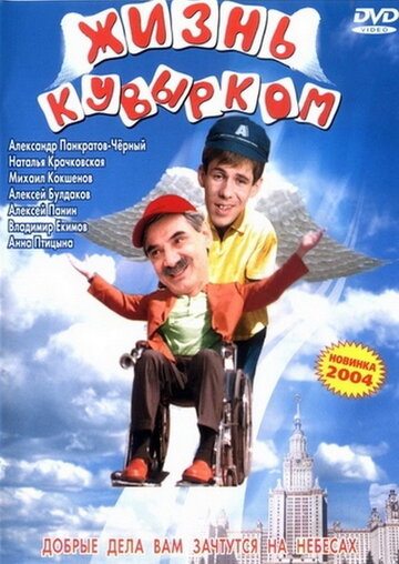 Жизнь кувырком (2003)